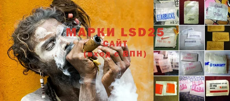 магазин    Кингисепп  LSD-25 экстази кислота 